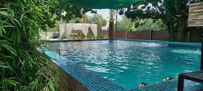 Swiming Pool in Farm house available in daily Rent