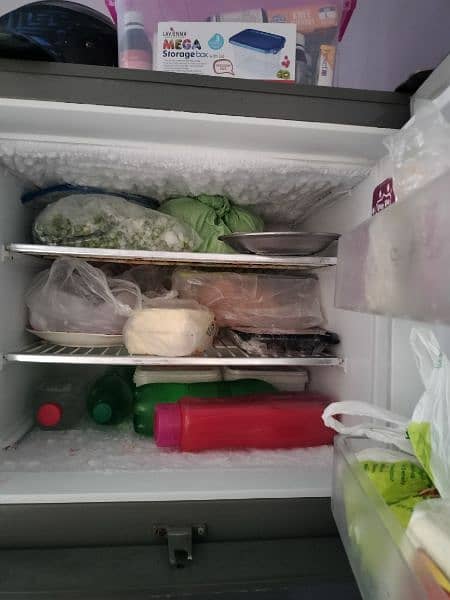 Pel 18 cubic large Size fridge 1