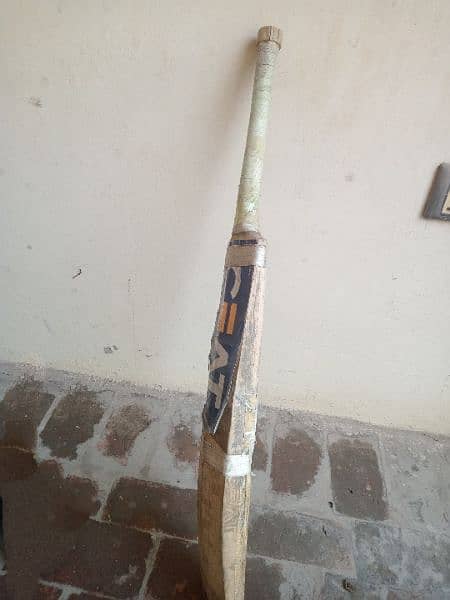 hard ball.  cricket bat for sale with home dilevry 7