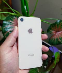 iPhone 8 256GB in Awesome Condition