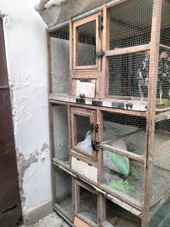 3 portion cage for sale