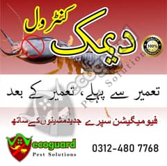 Termite Pest Control Fumigation Services in Lahore