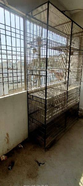 cage sale Karachi pardis beaker 1
