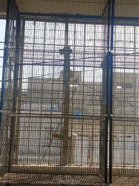 cage sale Karachi pardis beaker 2