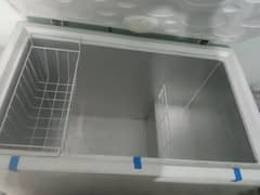 freezer one door