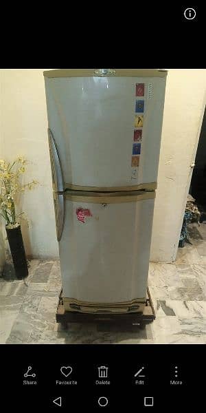 Pel Refrigerator is for sale 1