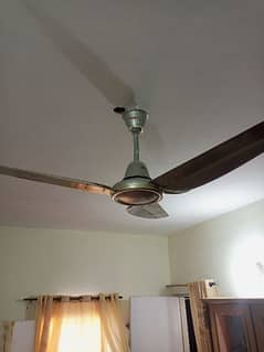 Royal Ceiling Fan 56″ Crown Model Copper 0