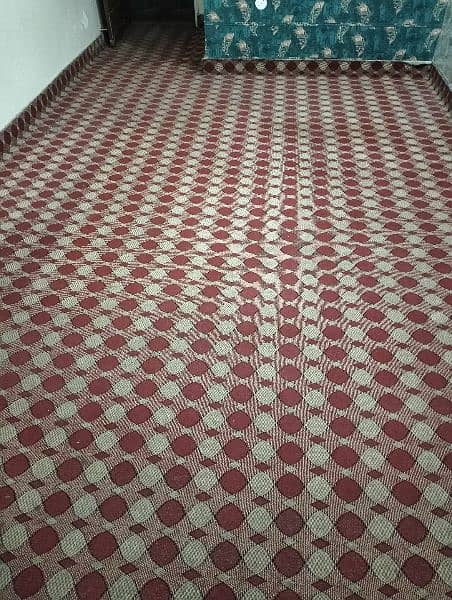 carpet for room 2