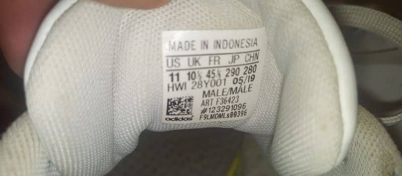 Original Addidas Imported Shoe 3