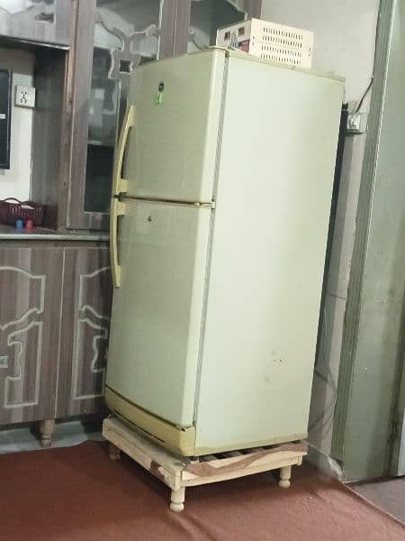PEL Refrigerator 1