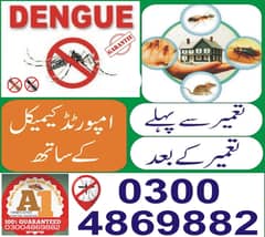 fumigation/Termite/deemak control treatment/dengue malaria spray