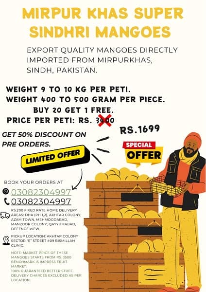 Export Quality Sindhri Mirpurkhas Mangoes. 7