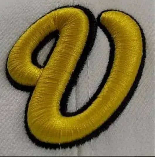 3D Embroidery 7