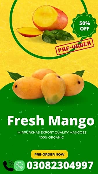 Export Quality Sindhri Mirpurkhas Mangoes. 8