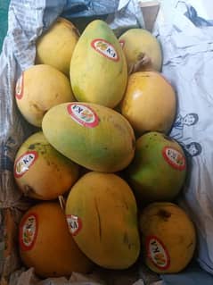 Soroli Mango Available