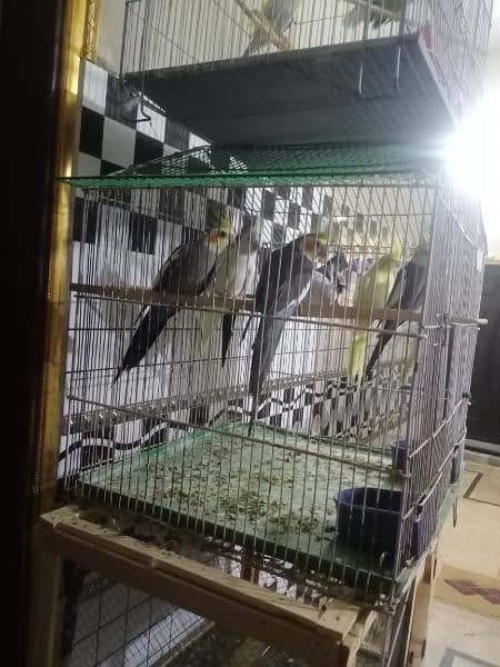 3 portion wood cage and 2 singal portion cage 7