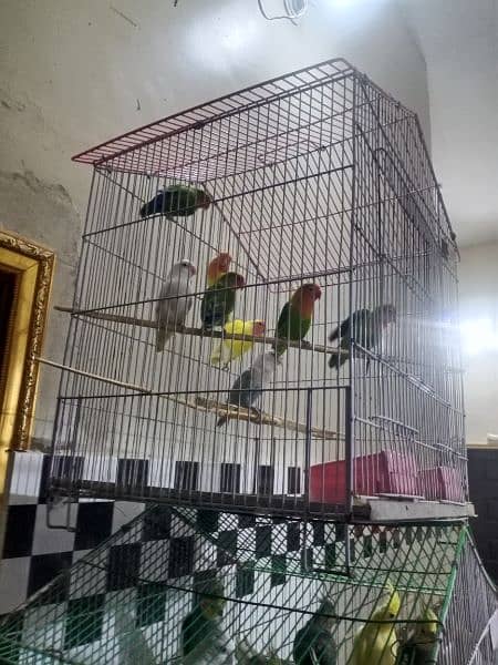 3 portion wood cage and 2 singal portion cage 9