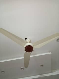 2 ceiling fans 0