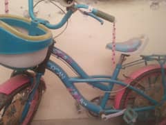 Girl Bicycle for Age 5 to 14