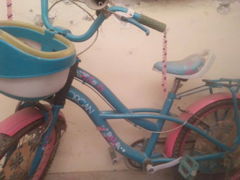 Girl Bicycle for Age 5 to 14 0