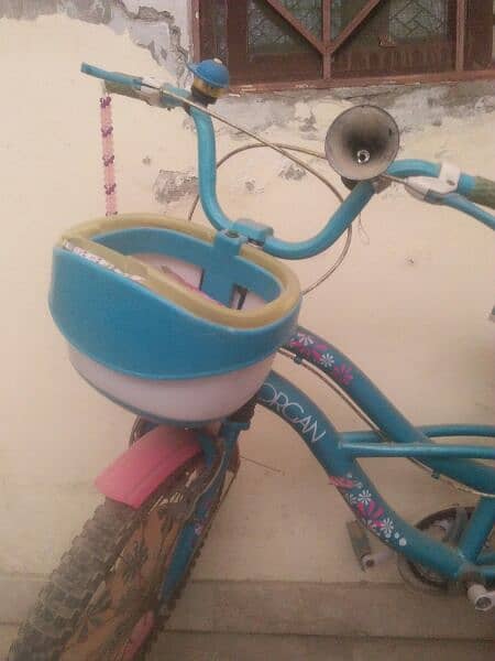 Girl Bicycle for Age 5 to 14 1