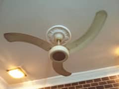 4 Royal Ceiling Fans are for sale
