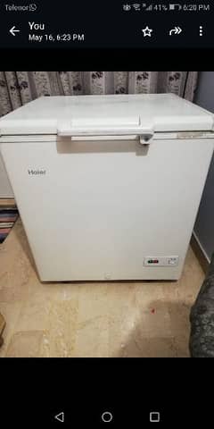 Haier deep freezer with 5 years compressor warranty