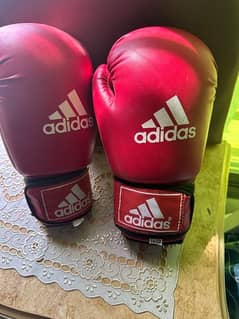 Boxing Gloves with Punching Bag 0