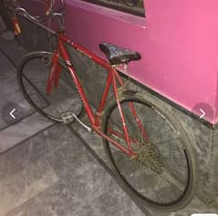 Racing Bicycle for sell