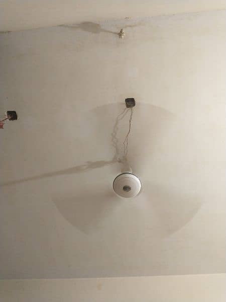 GFC ceiling fan 1
