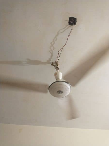 GFC ceiling fan 2