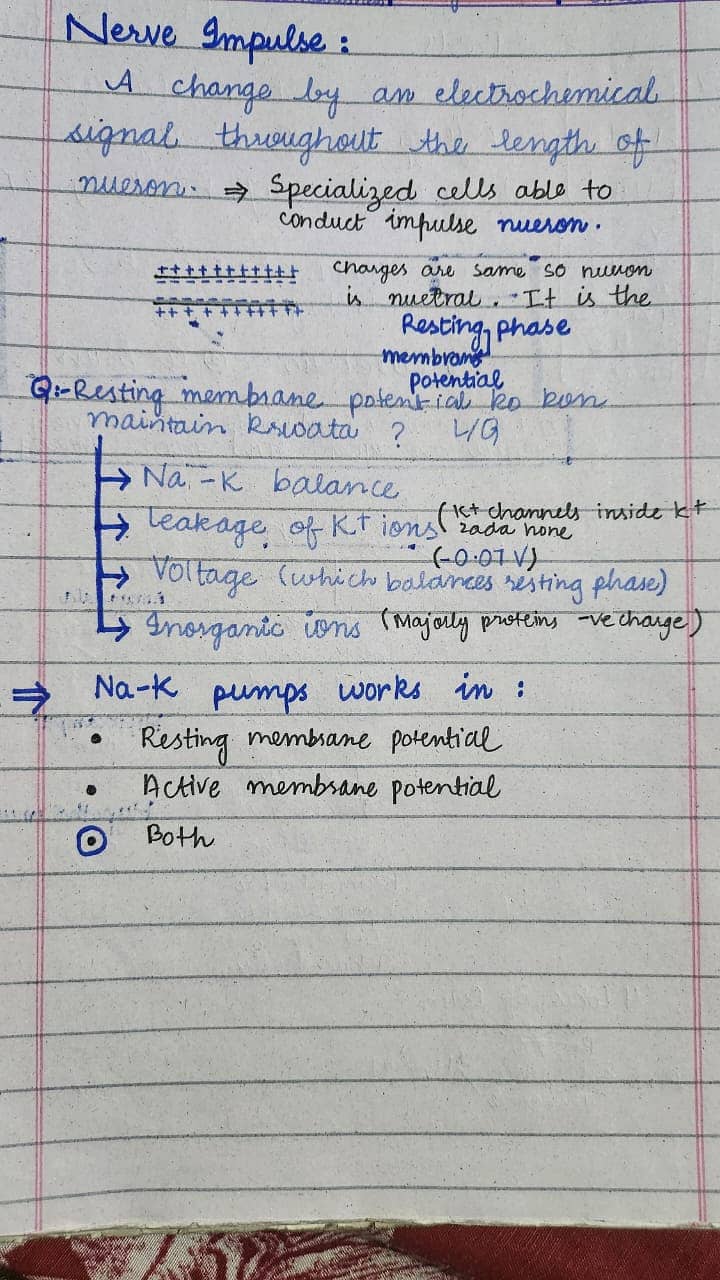 Handwritten Assignment work 8