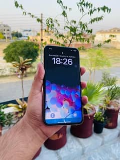 iPhone 11 Pro Max pta approved 0
