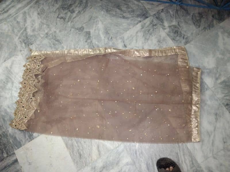 Bridal maxi with dupatta 8