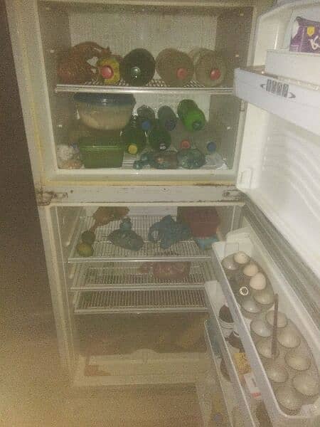 fridge 2