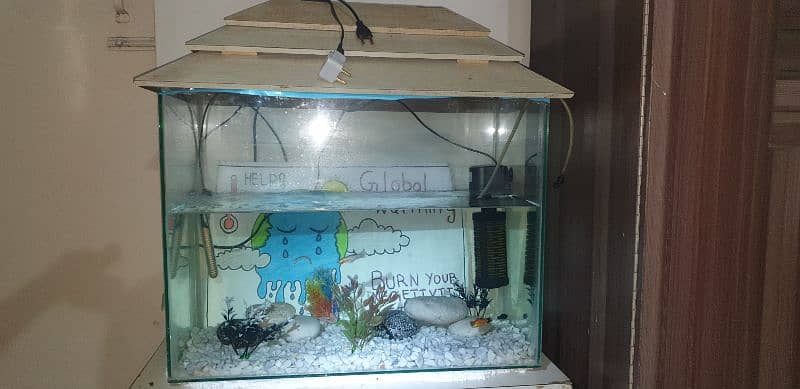 Fish Aquarium with fishes and accessories 4