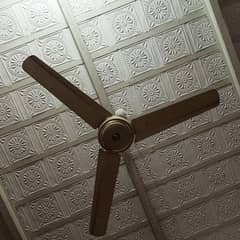 Pak Fan ceiling fan for sale 0