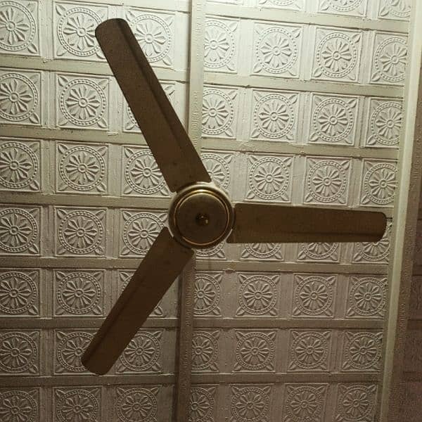 Pak Fan ceiling fan for sale 1