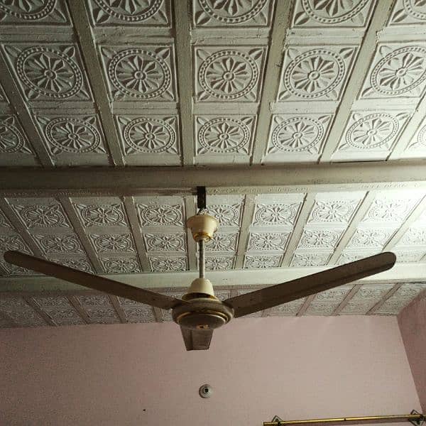 Pak Fan ceiling fan for sale 2