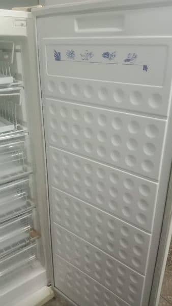 waves upright freezer 1