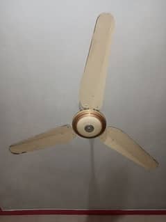 used Fan good condition no any fault urgent sale