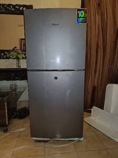 Haier HRF-216 Brand New Fridge/Refrigerator. Silver Color.