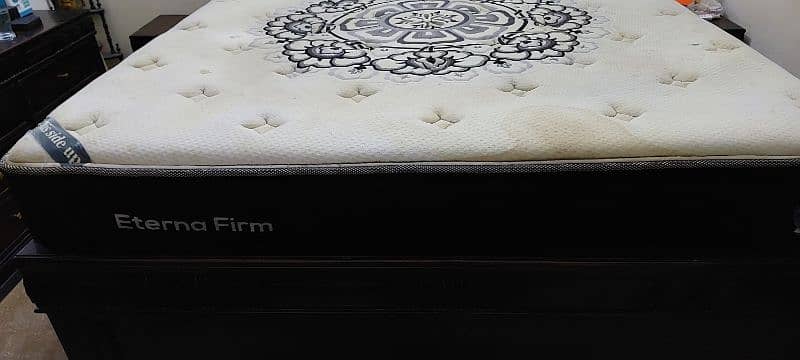 Masters Celesse Eterna Firm Mattress for Sale 2