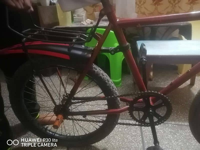 Phoenix Bicycle for Sale 1