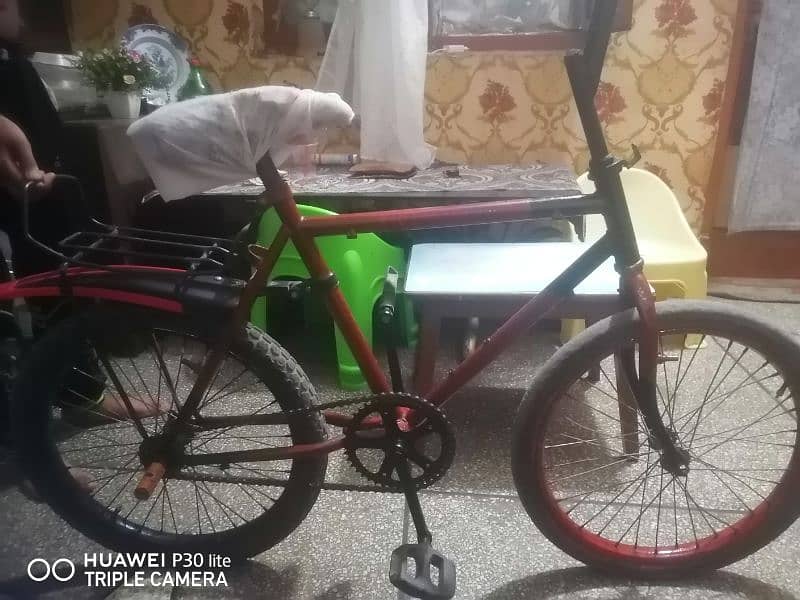 Phoenix Bicycle for Sale 2