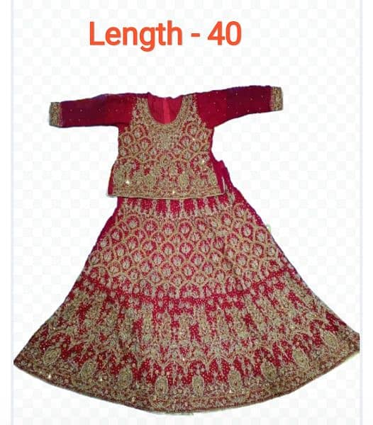 Bridal Dress Lehnga/Wedding Dress 0