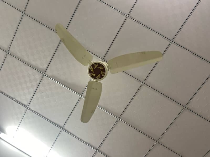 Royal ceiling fan 1