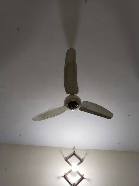 ceiling fan in good condition 0