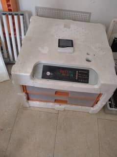250+ automatic incubator intelligent orange colour 0