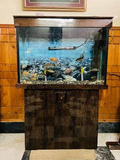 Glass Aquarium 6 FEET more details in chat and in description